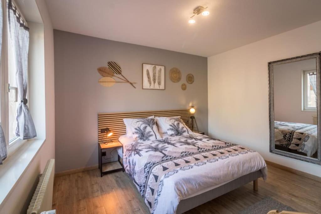 Appartement Le Saver'Zaru, Centre Ville, T2 55M² Saverne Kültér fotó