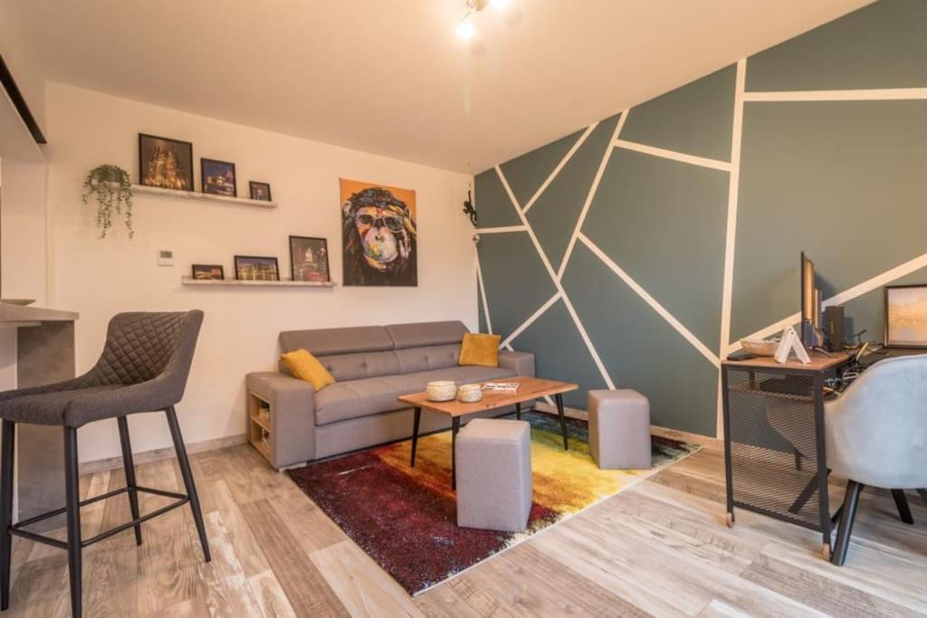 Appartement Le Saver'Zaru, Centre Ville, T2 55M² Saverne Kültér fotó