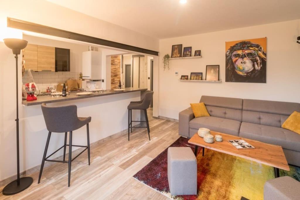 Appartement Le Saver'Zaru, Centre Ville, T2 55M² Saverne Kültér fotó