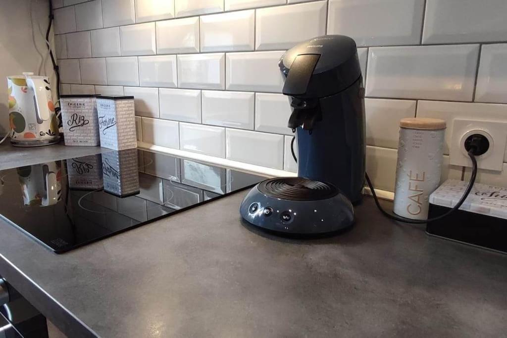 Appartement Le Saver'Zaru, Centre Ville, T2 55M² Saverne Kültér fotó